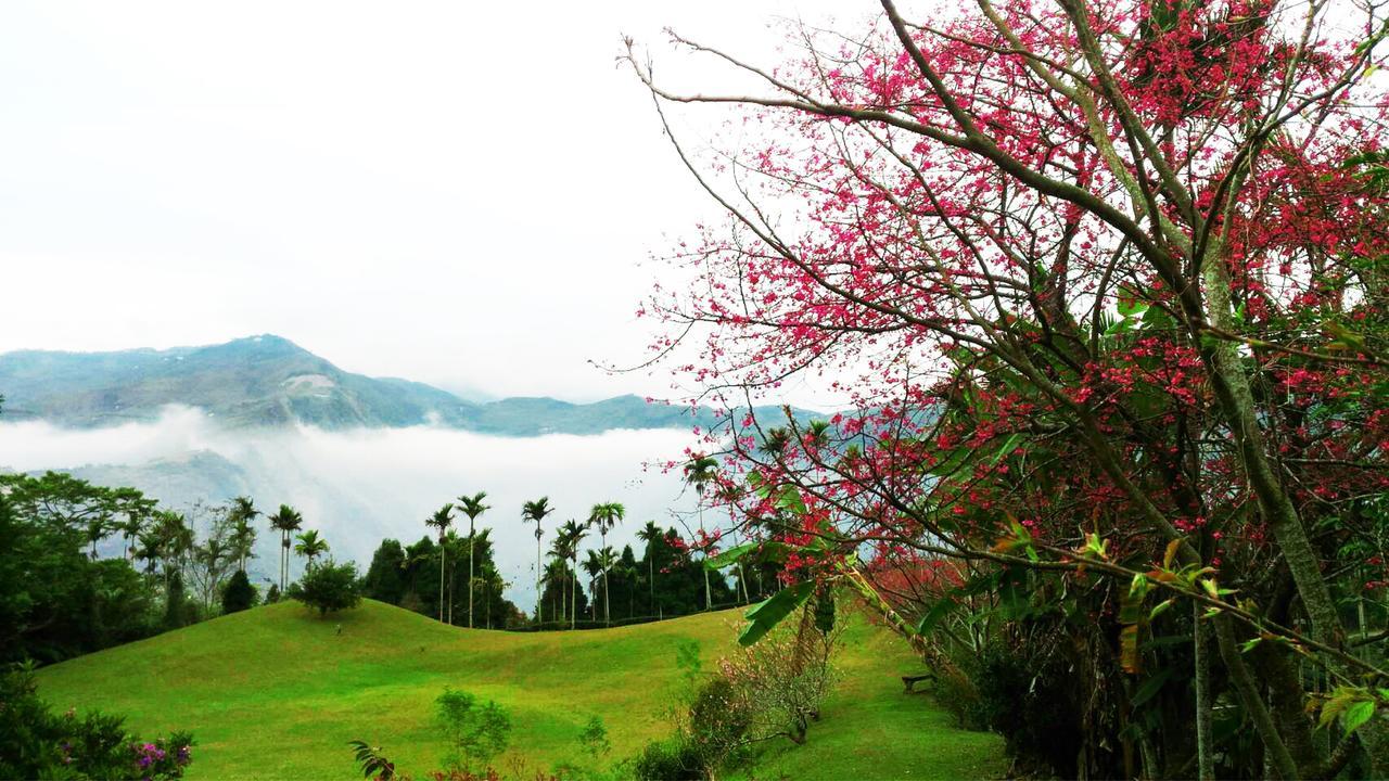 Foggy Wonderland Zhushan Exterior foto